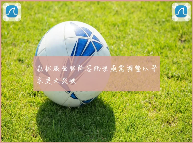 森林狼面临阵容瓶颈亟需调整以寻求更大突破