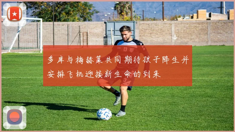 多库与梅赫莱共同期待孩子降生并安排飞机迎接新生命的到来