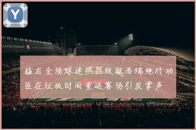 猛龙全场球迷热烈致敬洛瑞绝对功臣在垃圾时间重返赛场引发掌声